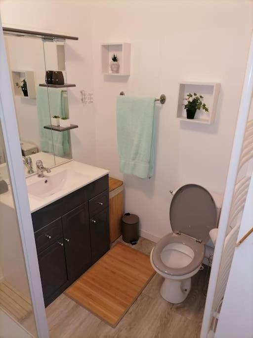 Sci La Malinoise Apartment Albon Ngoại thất bức ảnh